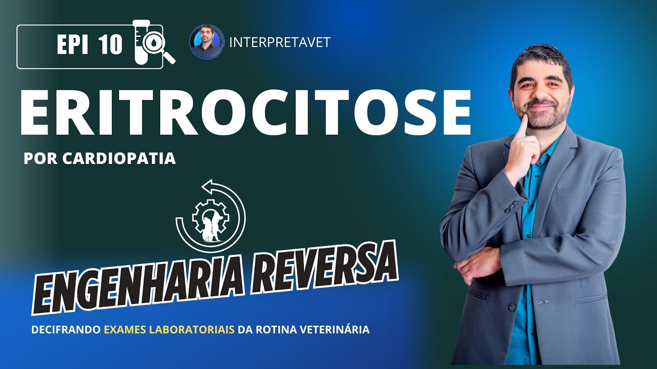Nunca IGNORE uma ERITROCITOSE em CÃES E GATOS.