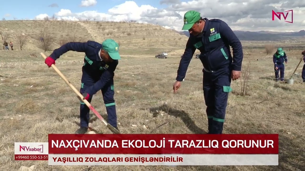 NAXÇIVANDA YAŞILLIQ ZOLAQLARI GENİŞLƏNDİRİLİR