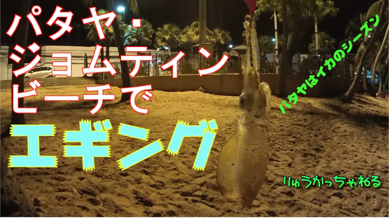 パタヤ・ジョムティエンビーチでエギング　パタヤはイカのシーズン！