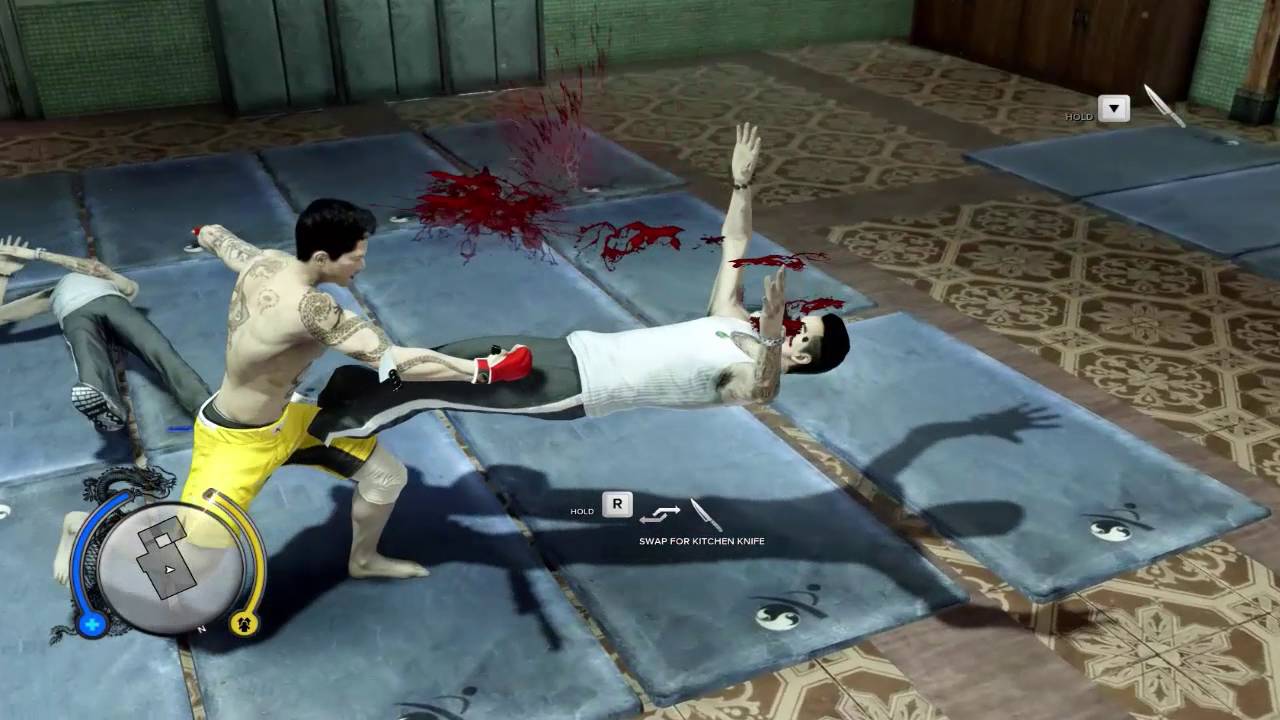 Sleeping Dogs - Mixed Martial Arts Club