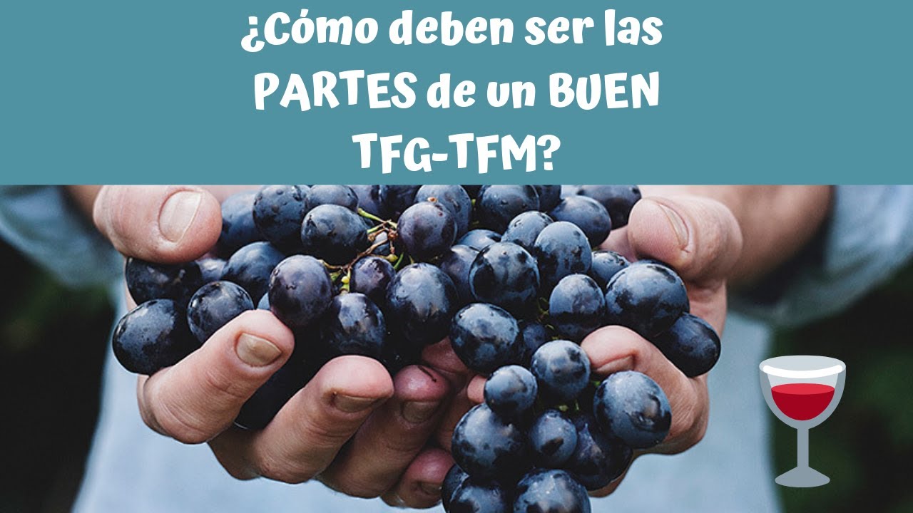 La ESTRUCTURA del TFG - TFM