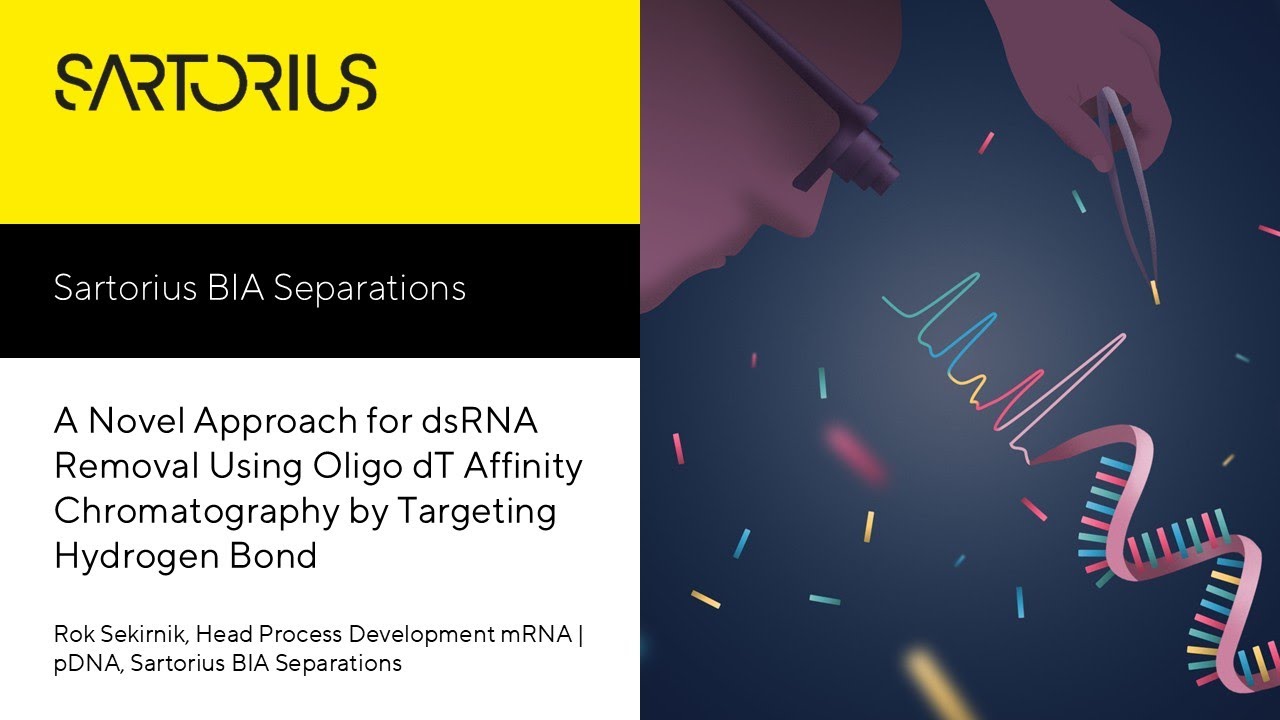 A Novel Approach for dsRNA Removal Using Oligo dT Affinity Chromatography by Targeting Hydrogen Bond