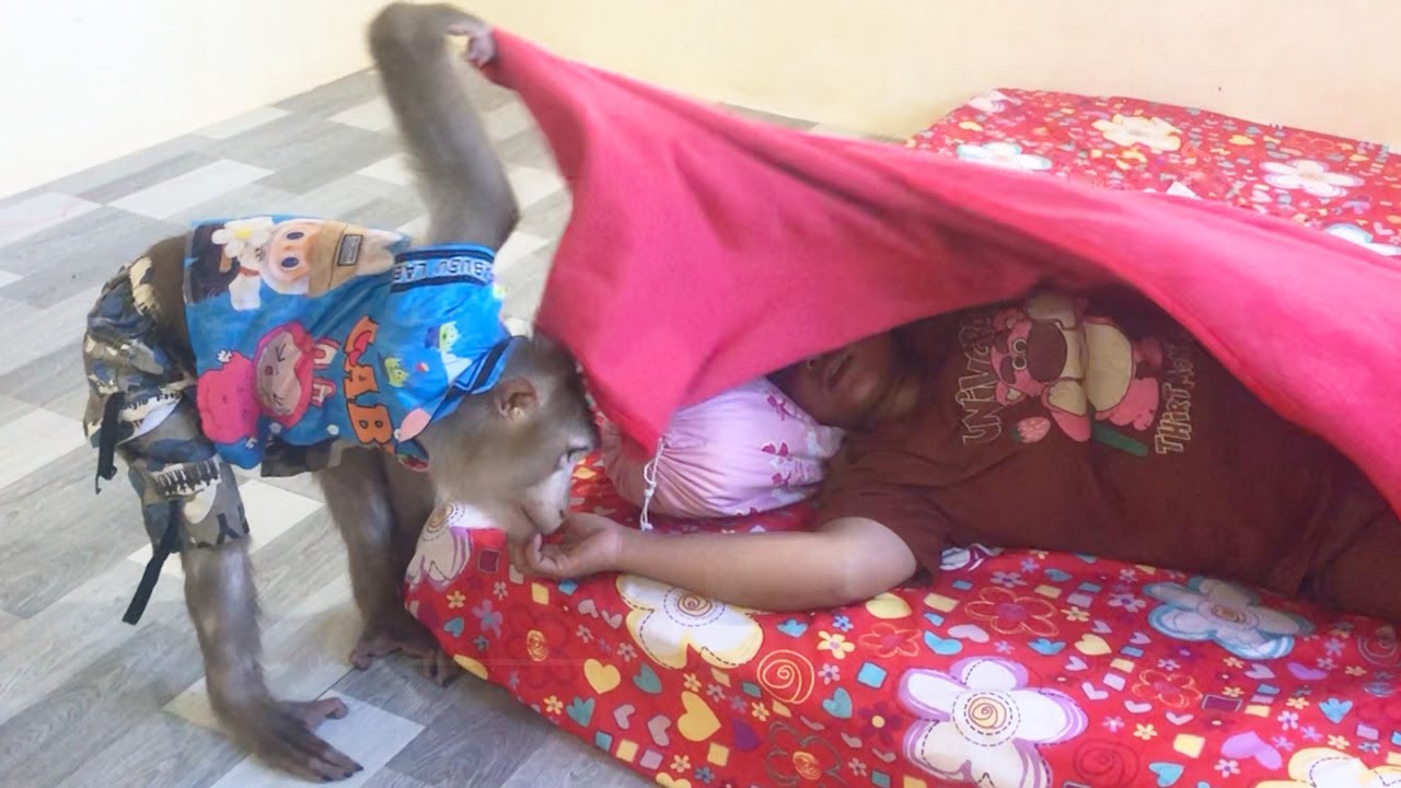 Hilarious Jason Lift Blanket To Halt Mom Nap In Morning Cool