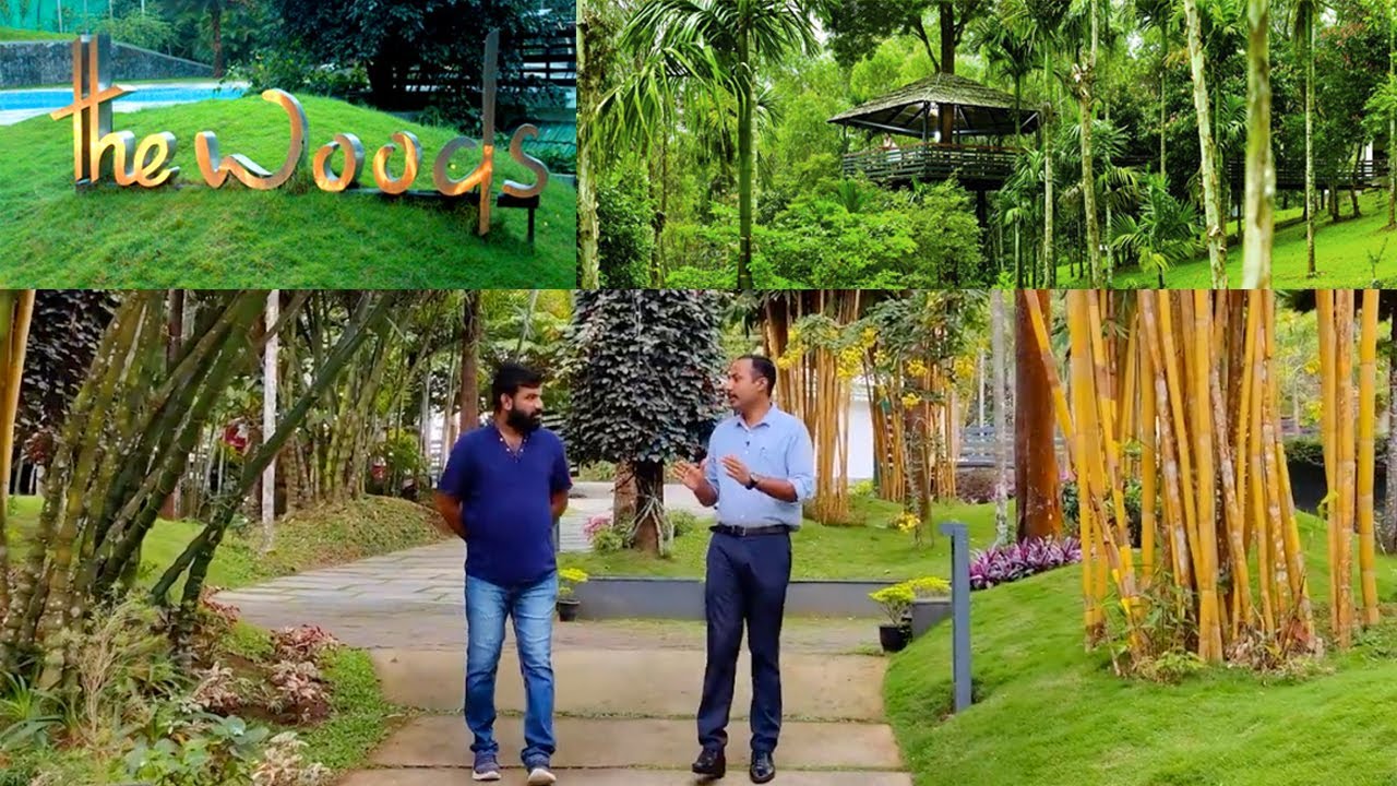 മനം കവരുന്ന കാഴചകളും അനുഭവങ്ങളുമായി വയനാട്ടിലെ The Woods Resort Wayanad