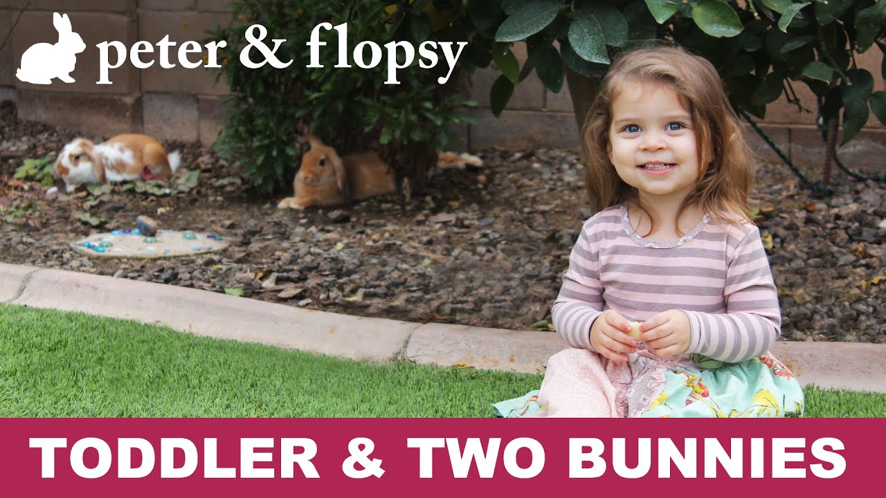Cute Toddler and Two Bunnies