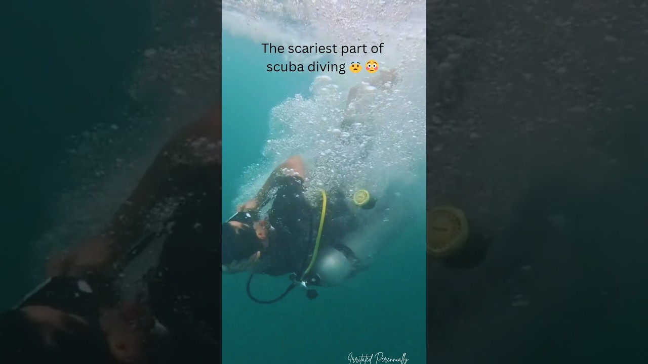 The scariest part of Scuba diving 🤿 | Scuba diving at Tribe Gate #underwateradventure #shorts