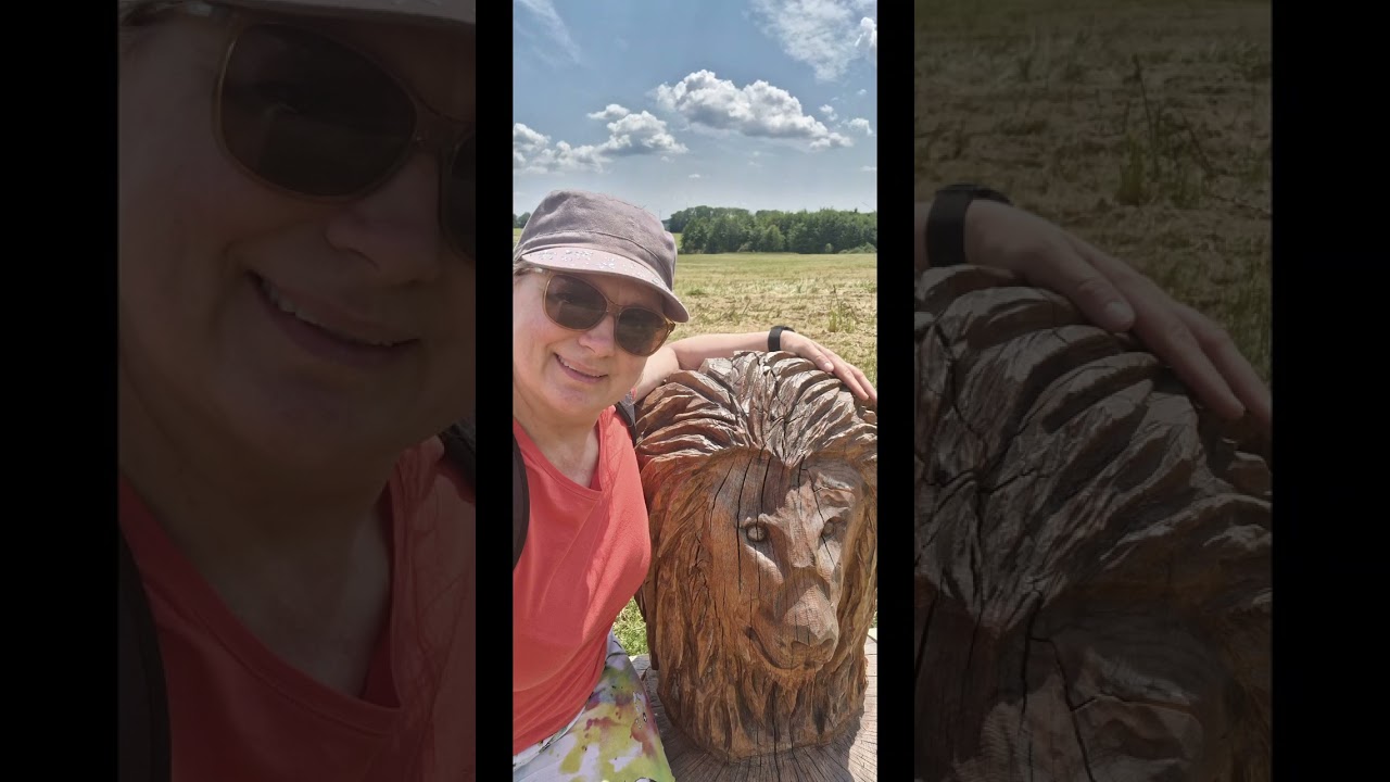 Messelberg mountain lion path tour [1st part]
