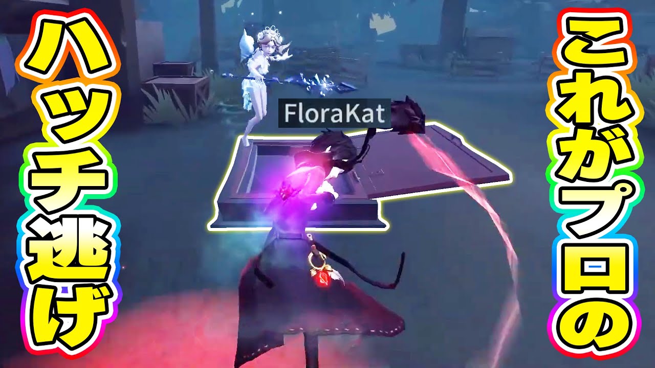 【第五人格】フクロウ3匹使ってハッチ逃げも決めるKatさんヤバすぎるってww【IdentityV】