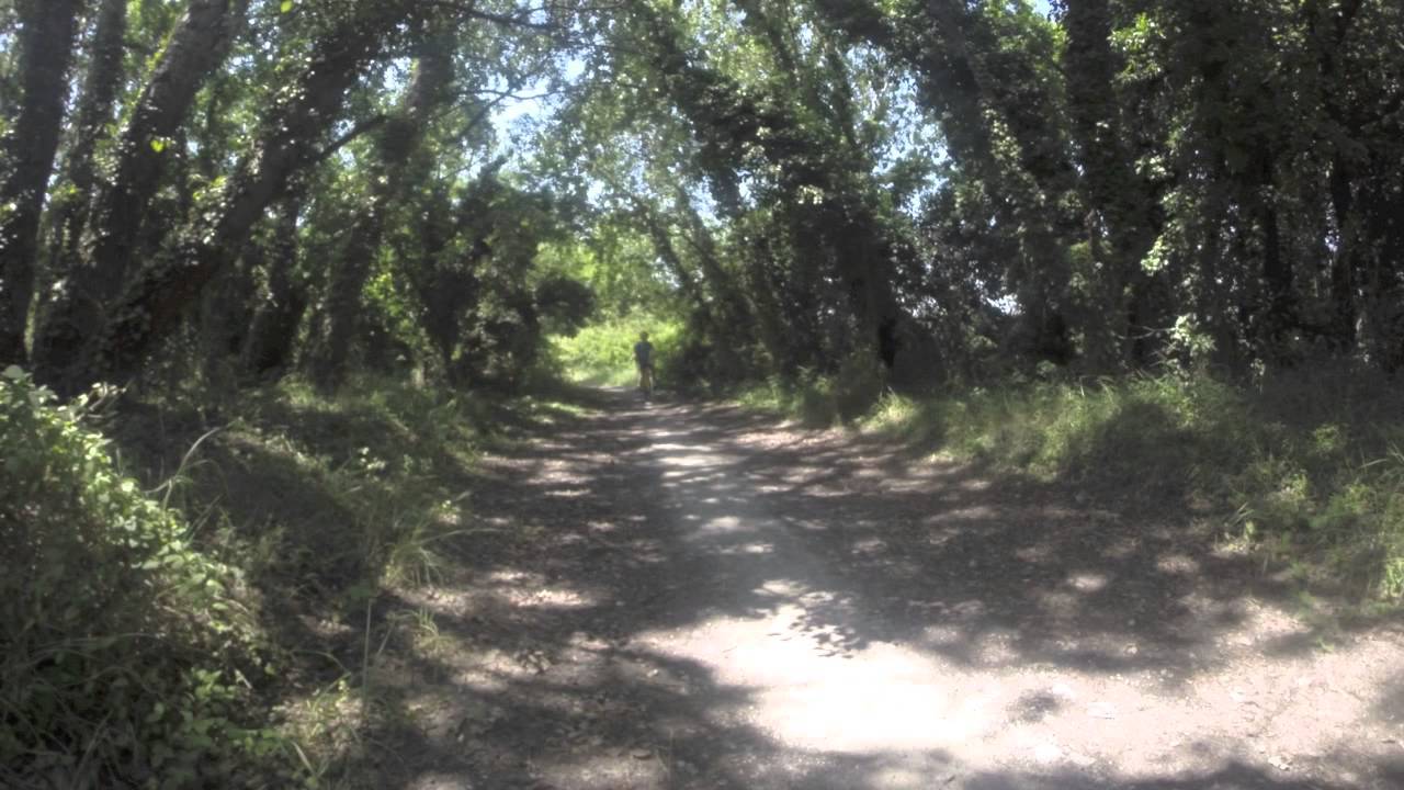 Sotto Questo Sole bello pedalare al Lido HD