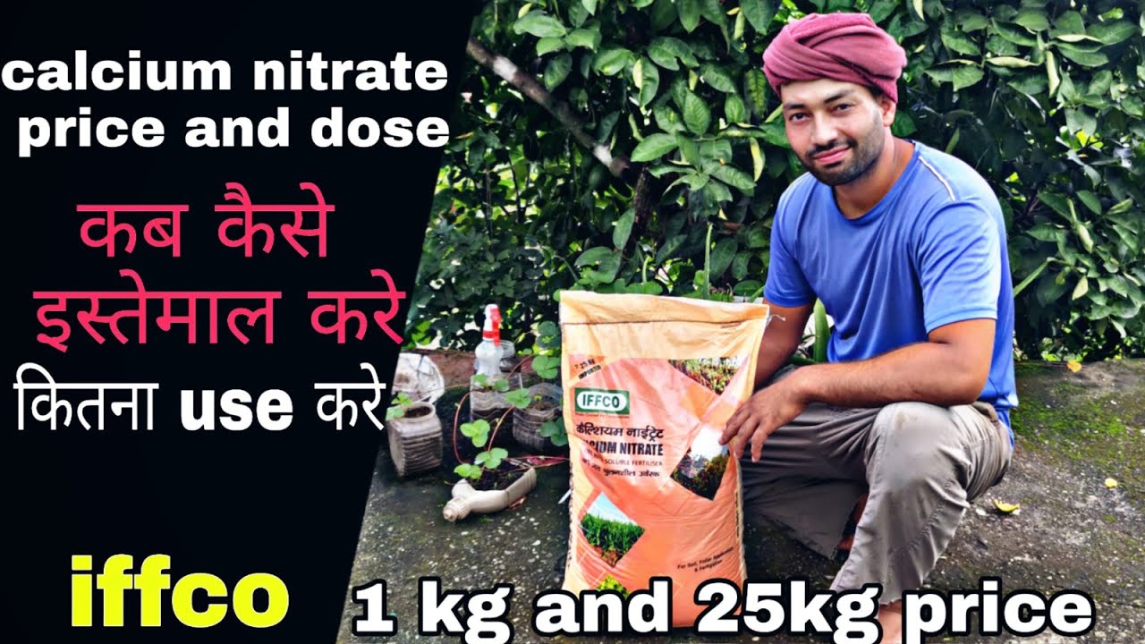 Calcium nitrate | IFFCO | iffco calcium nitrate fertilizer | calcium nitrate Dose | PraveenThakur