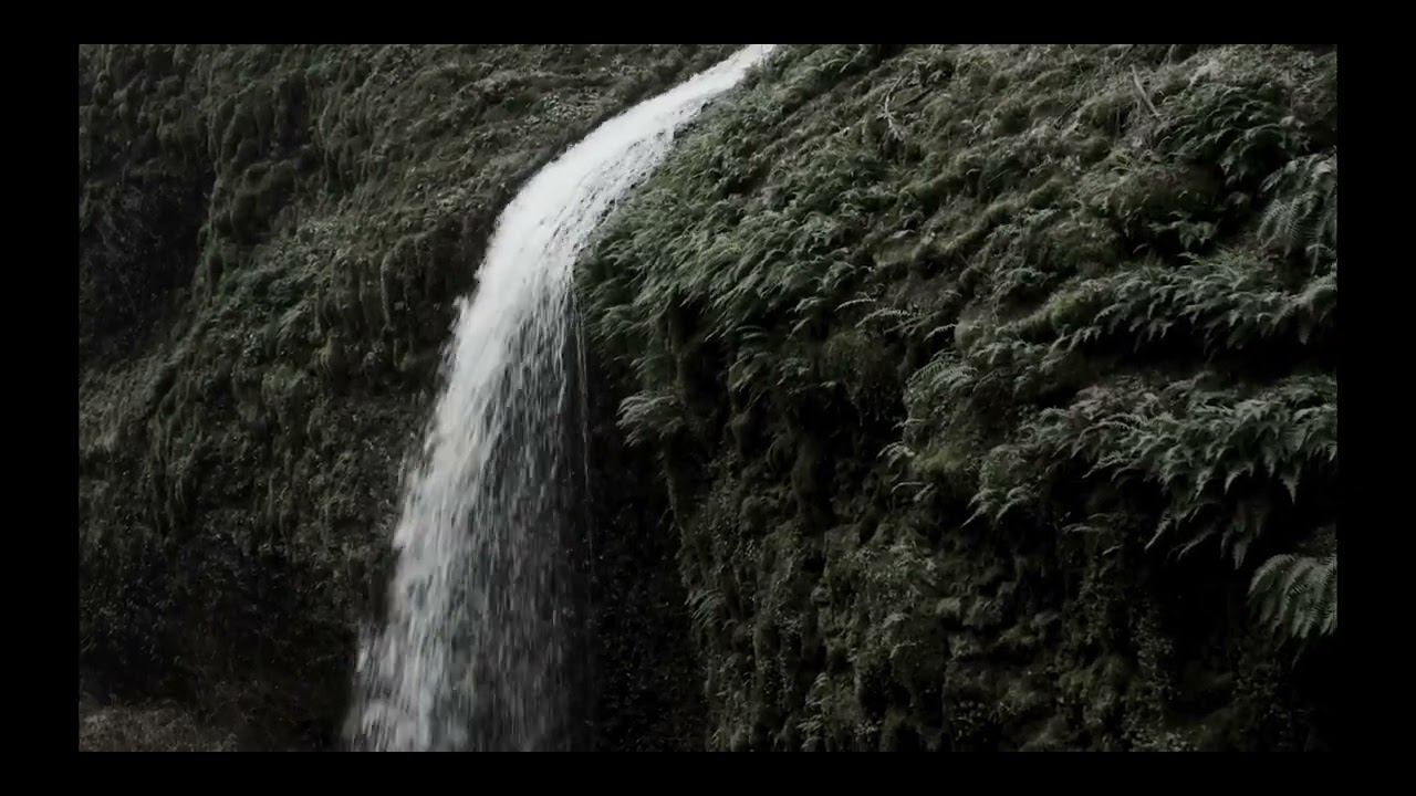 Tim Berny — A Quiet Fire (from Still Moving)