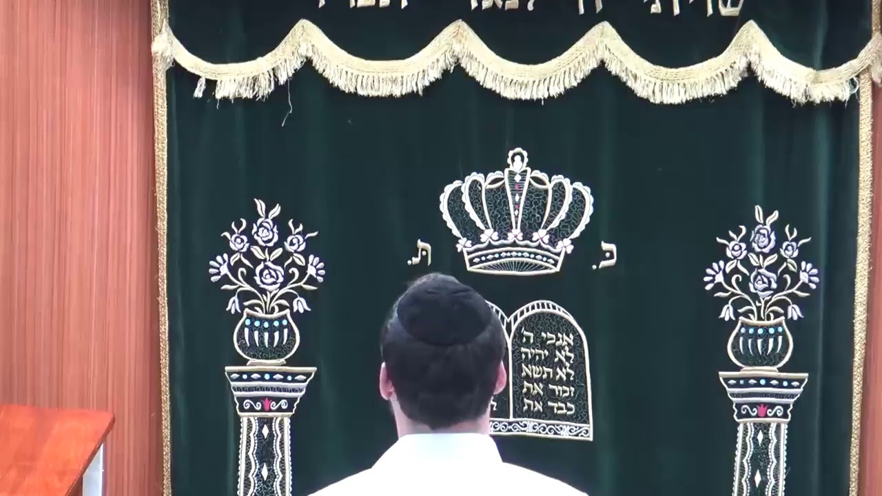 הרב ליאור גלזר פרשת כי תשא פ