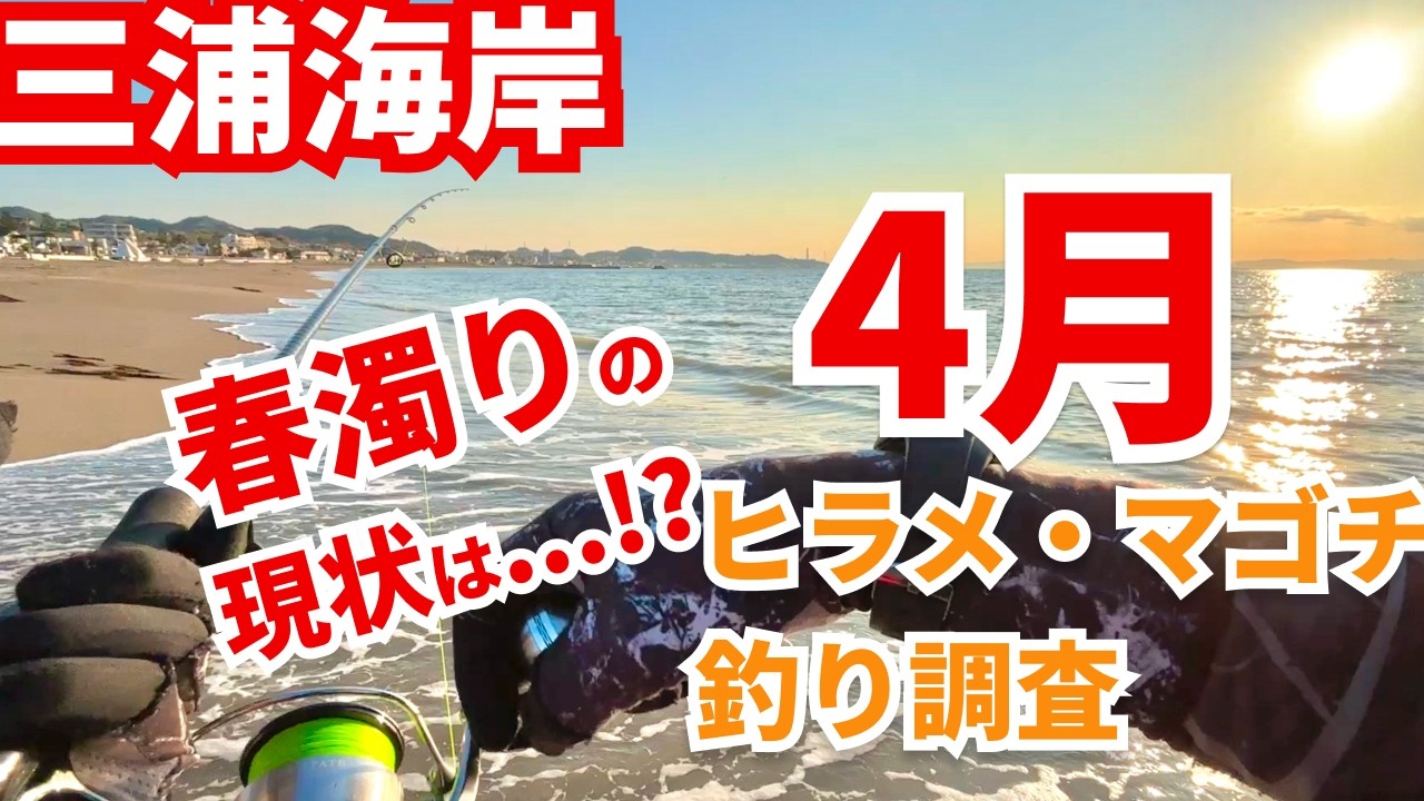 【4月最新!!】春濁りサーフの現状をしっかりお届け！春の釣り調査 in三浦海岸！ #神奈川 #東京湾 #ヒラメ #マゴチ #フラットフィッシュ #シーバス #釣り初心者 #fishing #海釣り