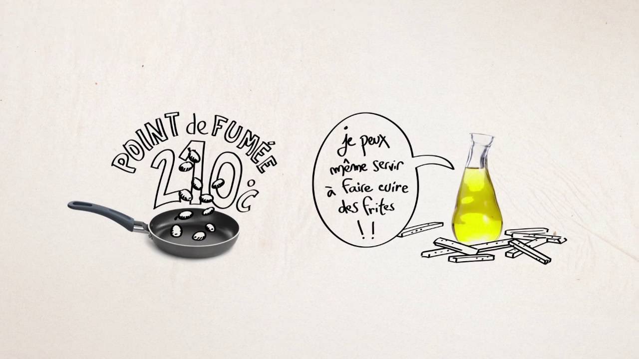 Les idées reçues sur l'huile d'olive