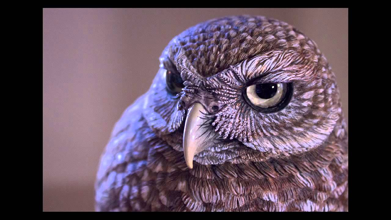Jennifer Felton, avid bird carver