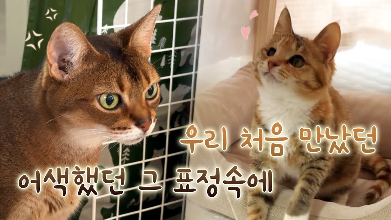 우리 처음 만났던 어색했던 그 표정 속에
