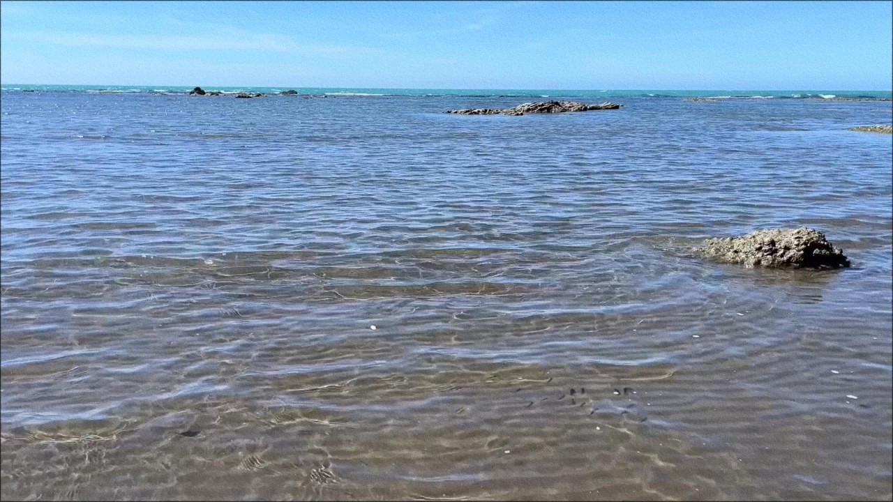 Shallow Clear Sea & Gentle Waves 🌊 Nature Ocean Ambience