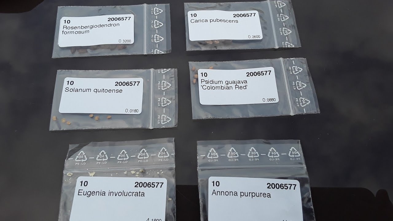 Delivery of rare exotic seeds has arrived today