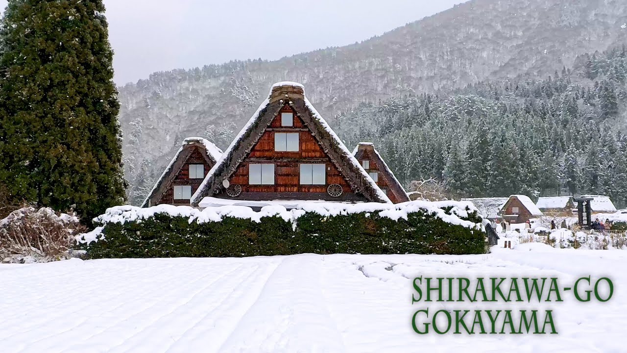 【4K HDR Snowfall】 In the Hokuriku, Chubu region, the season's first heavy snowfall has arrived.