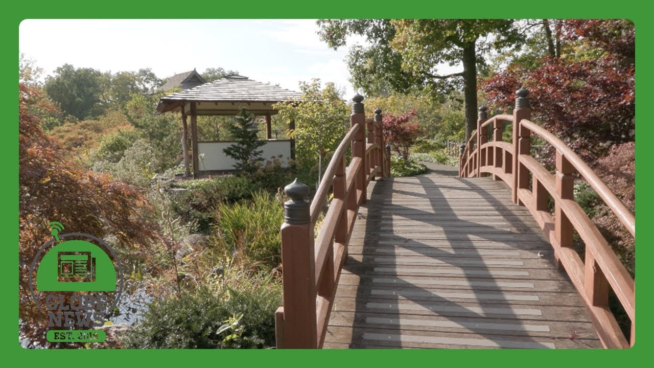Wellfield Botanic Garden to Undergo $17 million expansion
