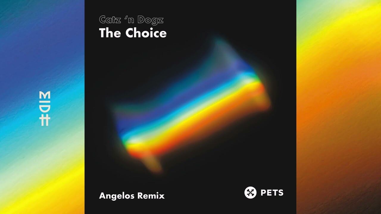 Catz 'n Dogz - The Choice (Angelos Remix)