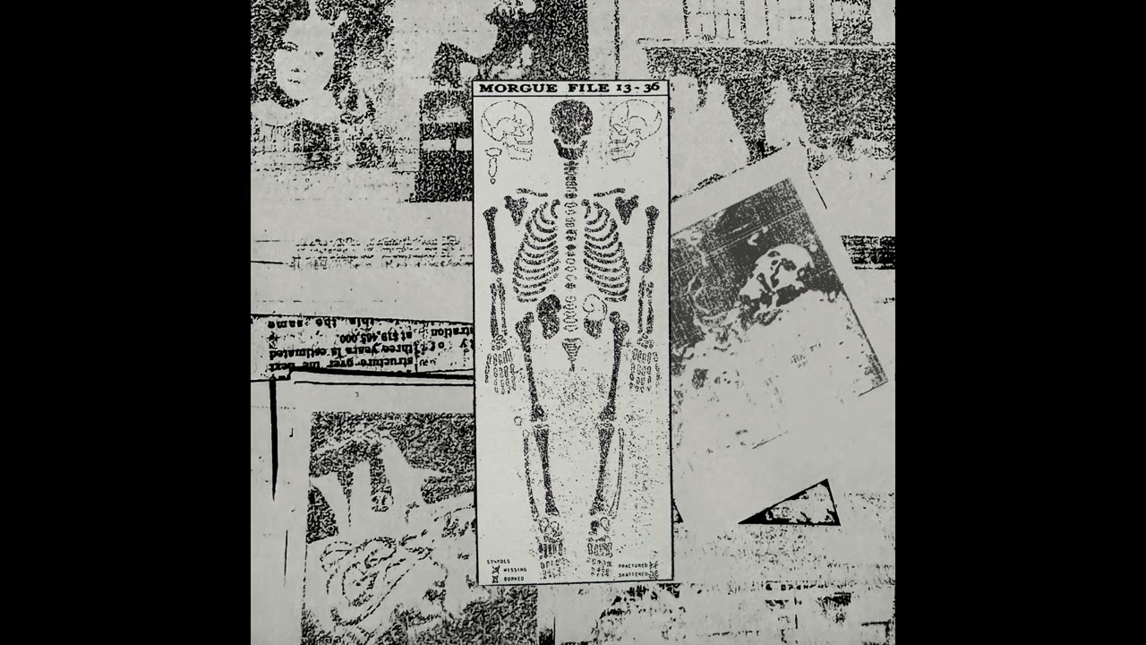 Morgue File - Files 13-36 Full Album [Death Industrial, Dark Ambient]