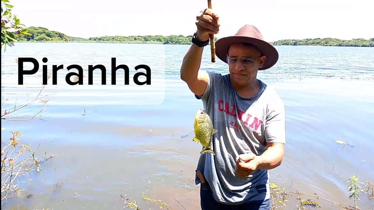 Uma boa pescaria com muitas emoção! 🎣