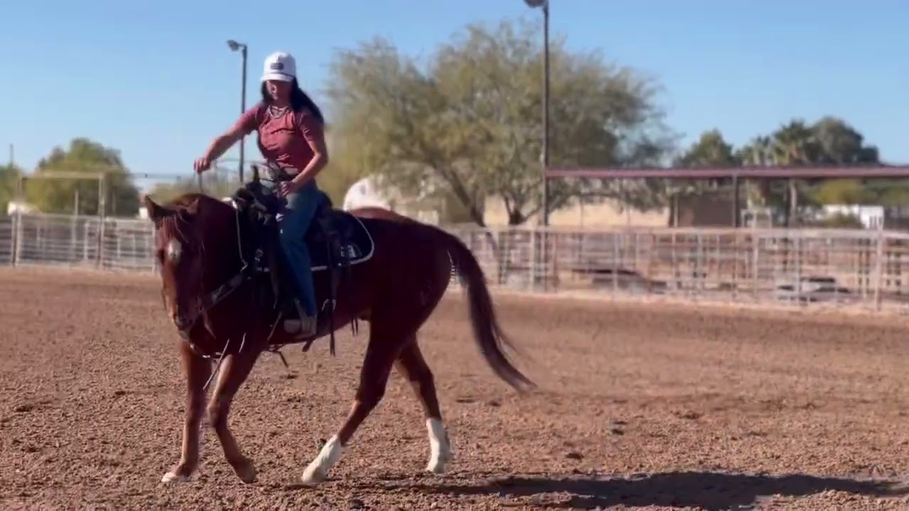 “Zeke” 2020 AQHA Gelding