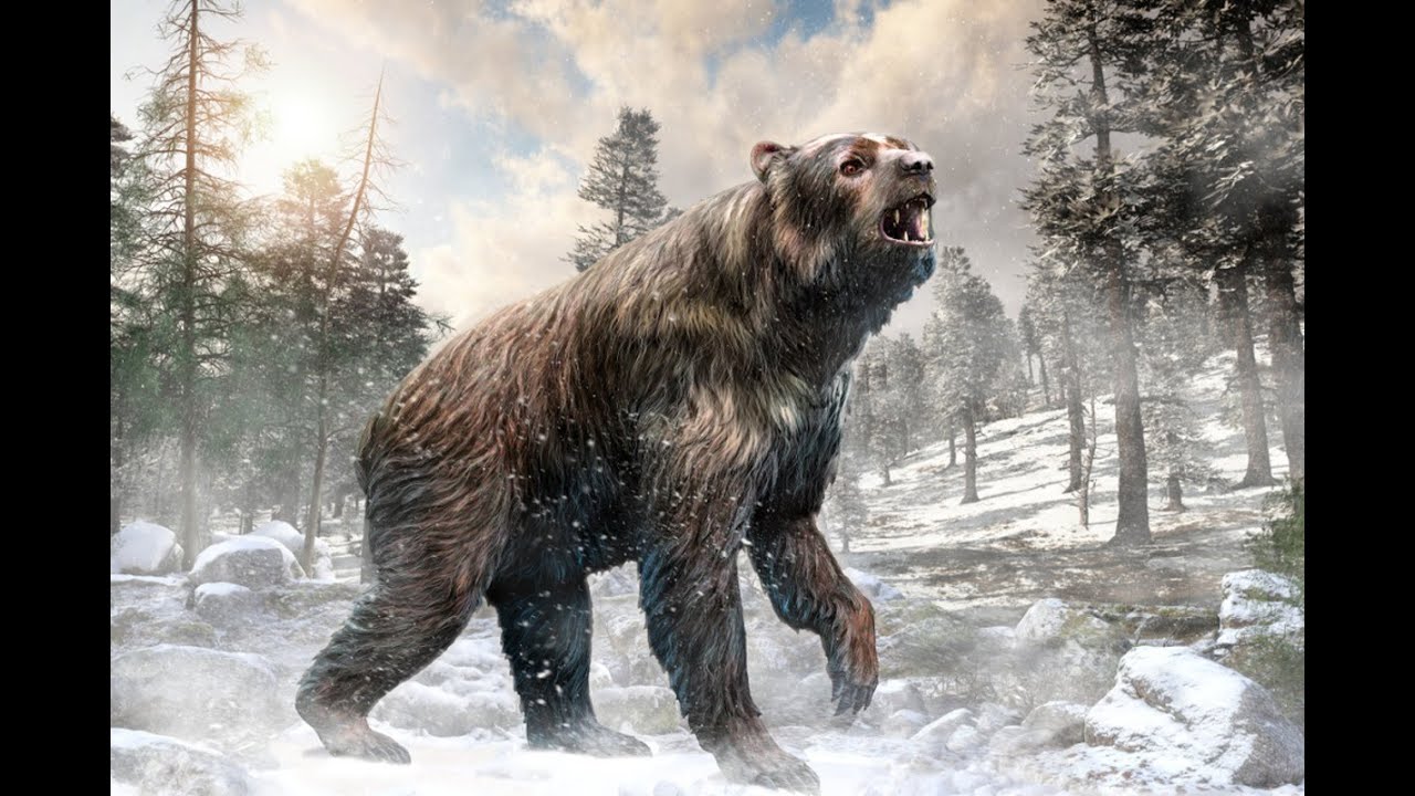 Monsters & Beasts - Great Bear Sound Effects