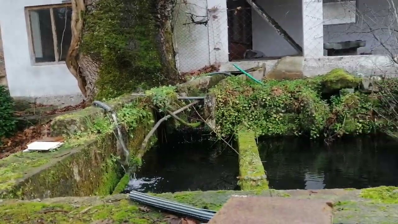 BALIKESİR-GÖNEN GEYİKLİ ALABALIK TANITIM