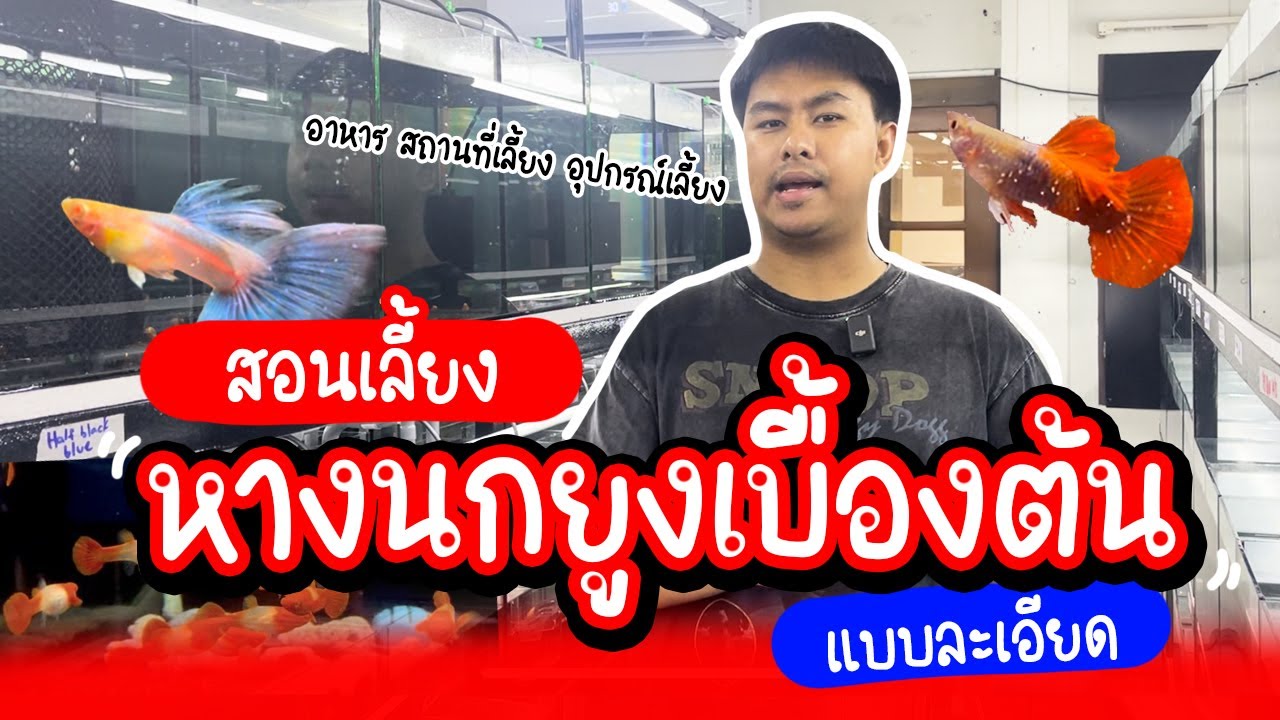 รู้อะไรไม่เท่ารู้งี้ EP45.สอนเลี้ยงหางนกยูงเบื้องต้น(แบบละเอียด)