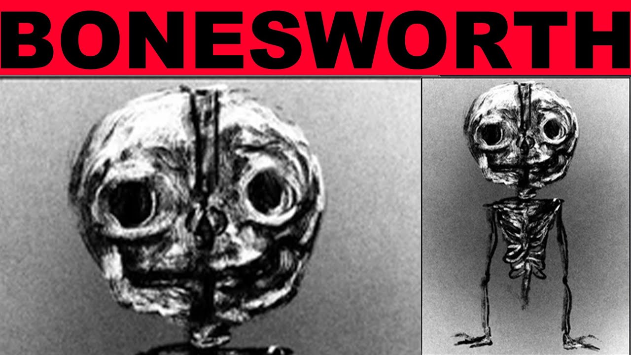BONESWORTH - Trevor Henderson Creations