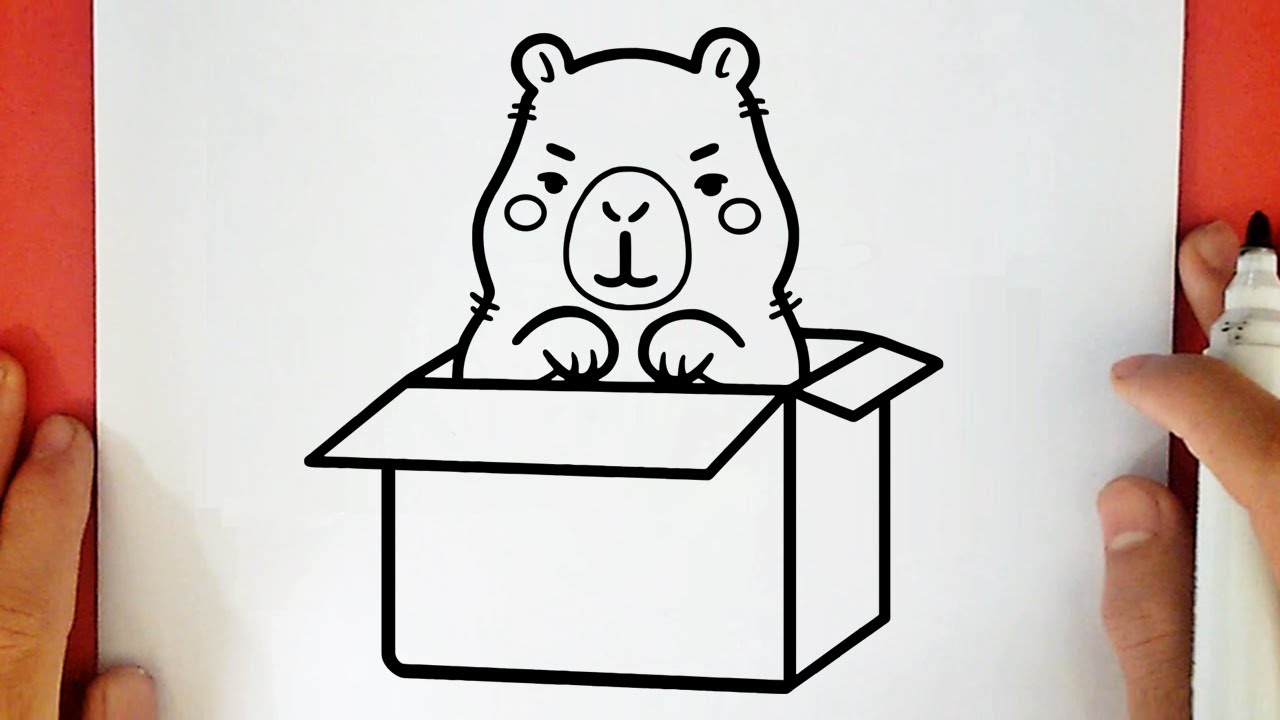 COMO DESENHAR UMA CAPIVARA KAWAII NA CAIXA