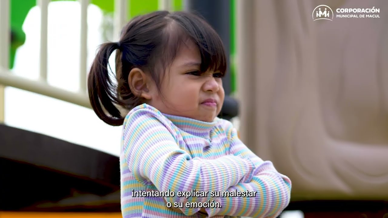 Desregulación emocional en niños y adolescentes.