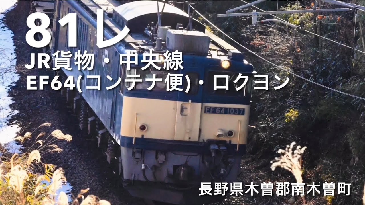 81レ・JR貨物中央線・EF64(ロクヨン)・コンテナ便・長野県木曽郡南木曽町