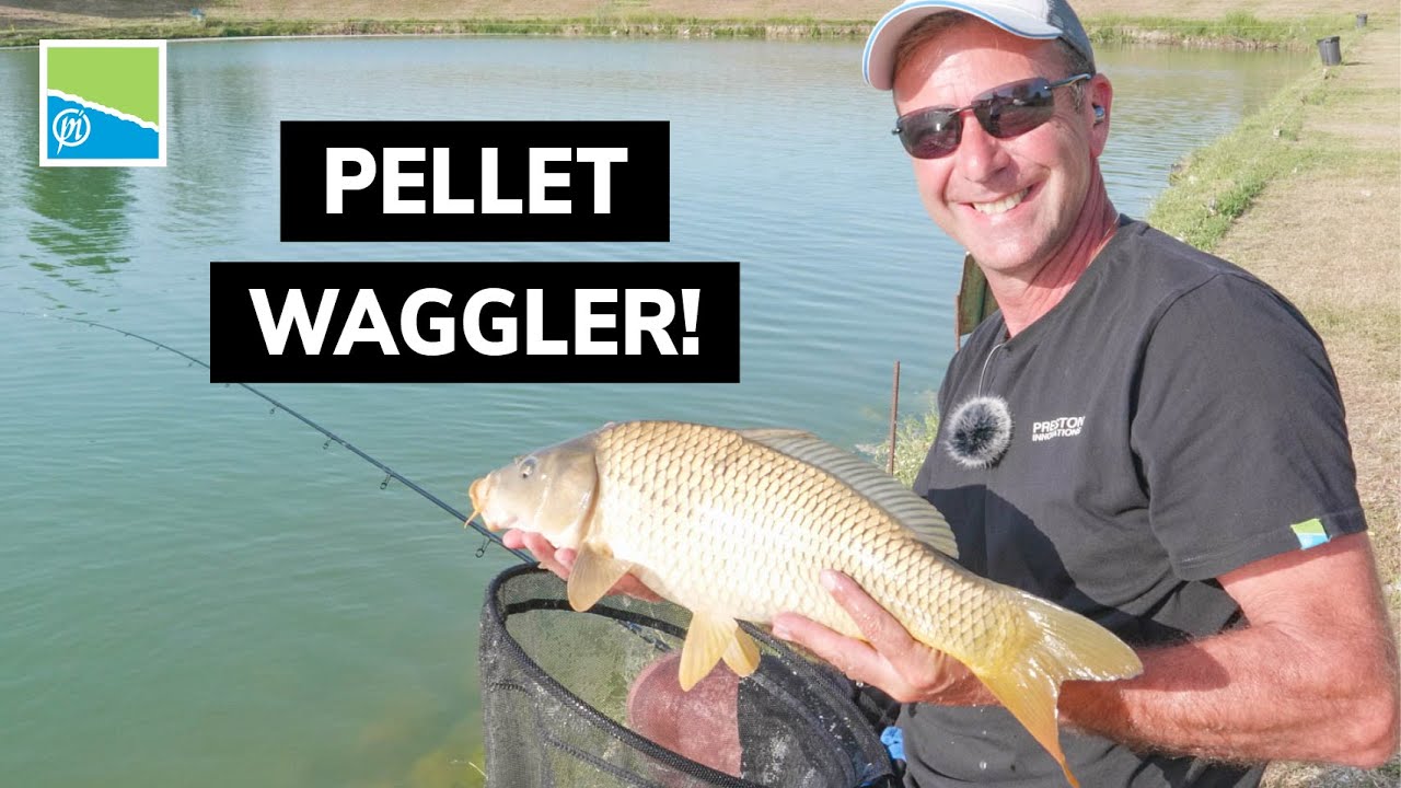 COME PESCARE I CARASSI A PELLET WAGGLER