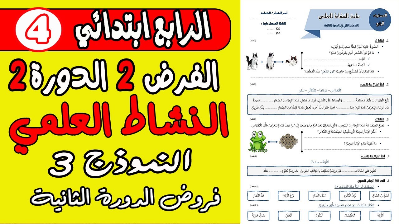 فروض المرحلة الرابعة المستوى الرابع| الفرض الثاني الدورة الثانية النشاط العلمي المستوى الرابع نموذج3