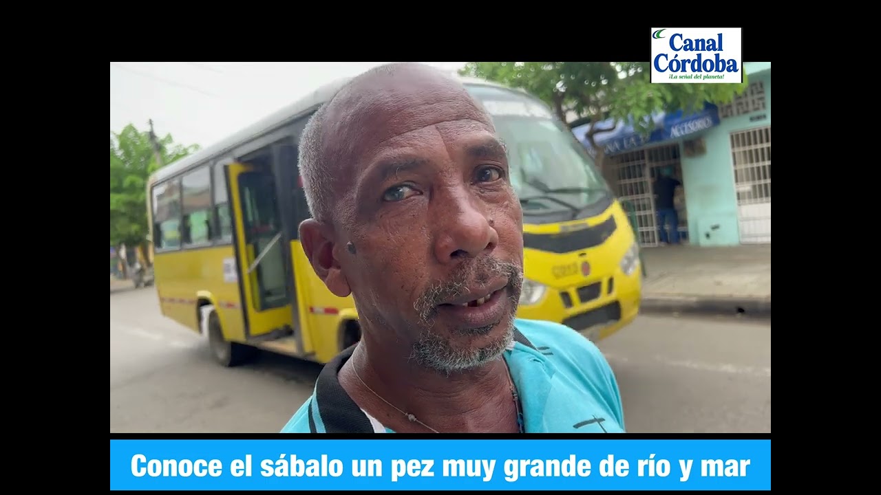 Conoce el s&aacute;balo un pez de R&iacute;o y mar.
