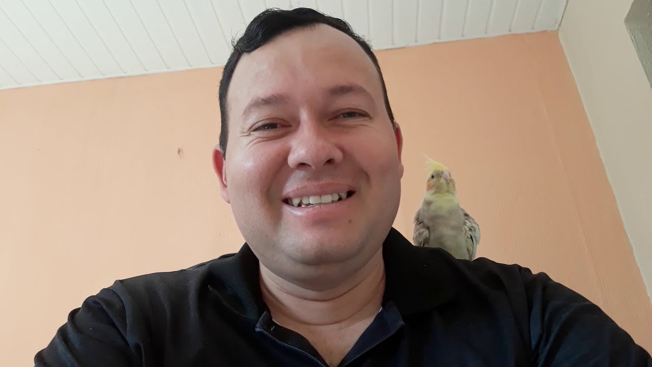 COMO FUNCIONA A VENDA DE OVOS? ALGUMAS DICAS DE INÍCIO DE CRIAÇÃO.