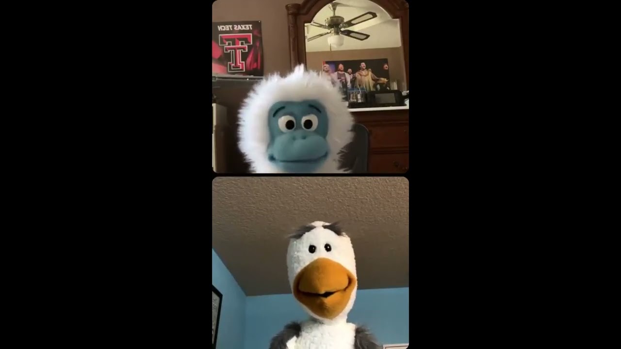 Sam the Mini Yeti Live! - Sam and Morris (12/13/2025)