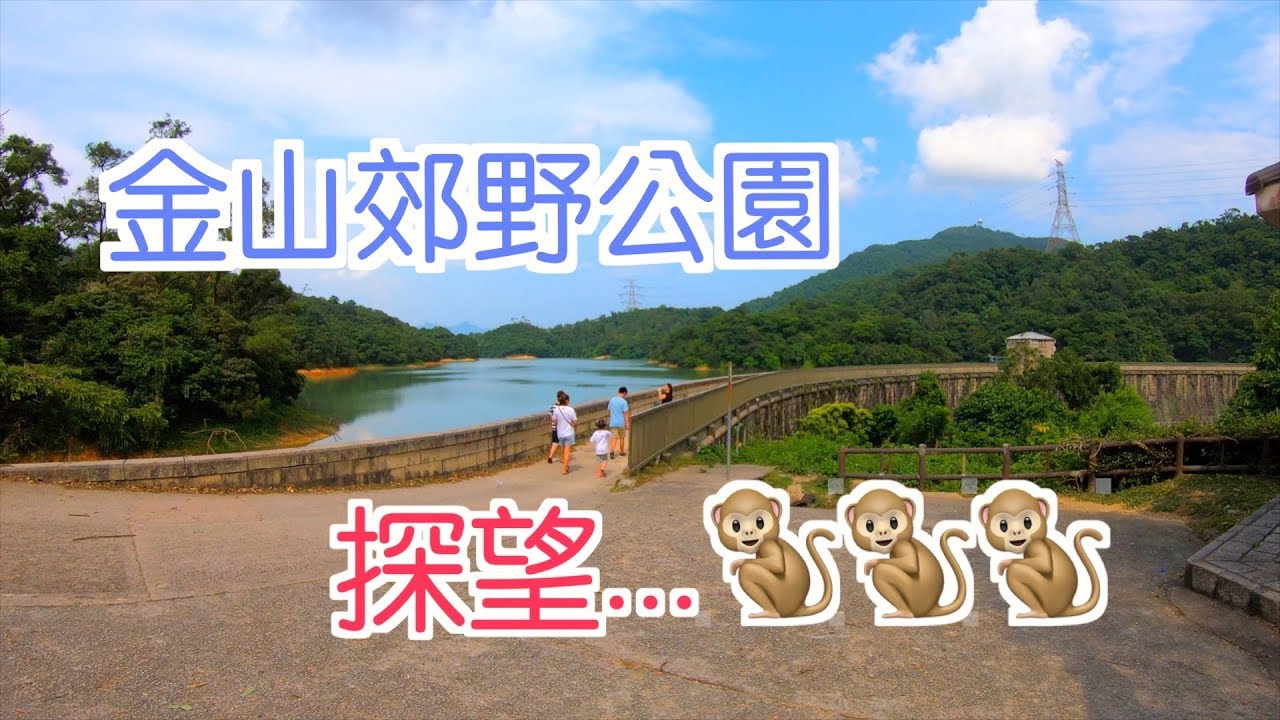 【香港好去處】金山郊野公園｜馬騮山猴子．水塘．行山．遠足．燒烤