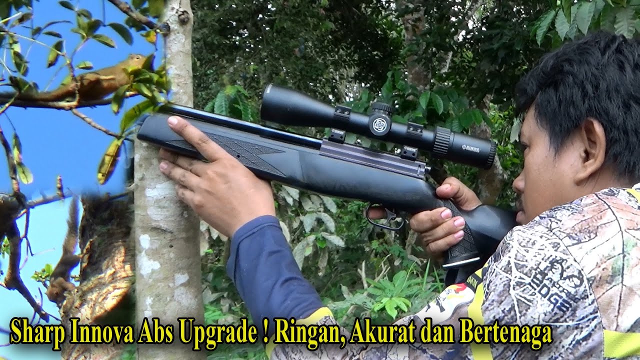 Test Akurasi & Hunting ! Berburu Hama Tupai dengan Uklik Sharp Innova Mas Muhidin Sukabumi