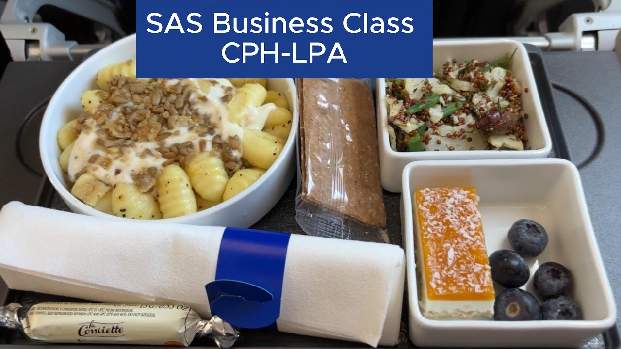 What to Expect in SAS European Business Class — Lounge, Food & Service