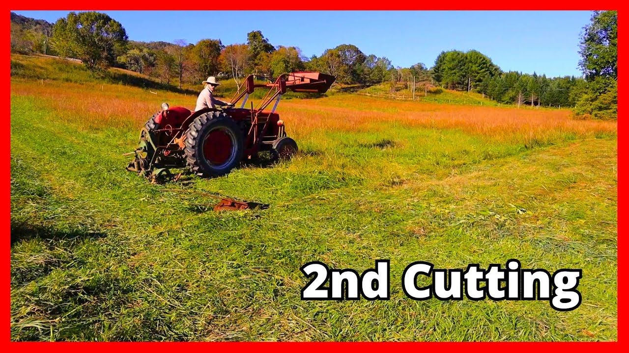 Second Hay Cutting 2024 + Cleaning the Baler Before Winter
