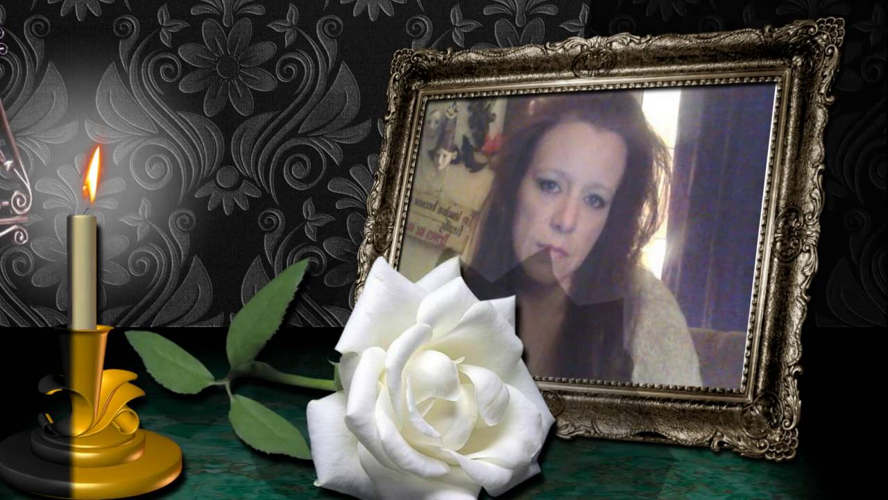 Remembering My Cat Pinky...Rest In Peace My Son