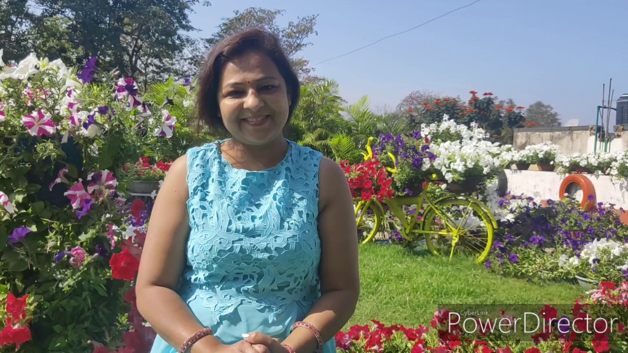 Terrace Garden | End of winter season | QnA session