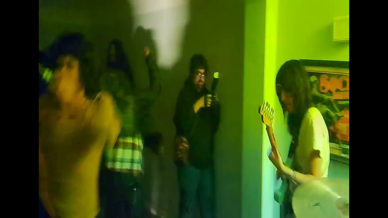 Drunk Punks Is Hippies