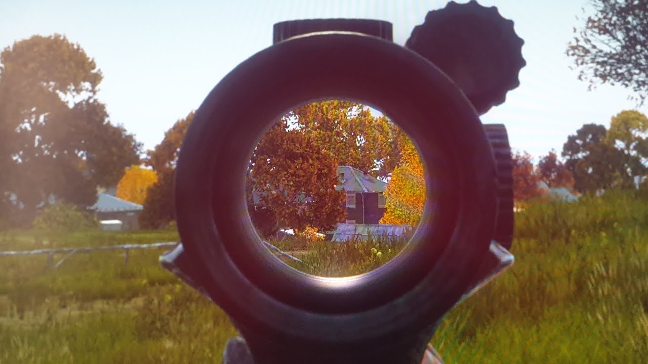 DayZ❤