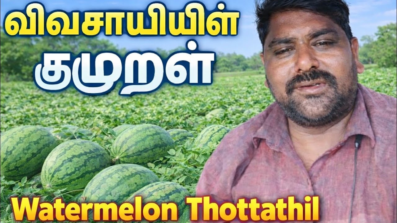ஒரு விவசாயியின் குமுறல் Part-1#vlogs#vivasayam#vivasayi#disease#farming#farmer#problem #tindivanam