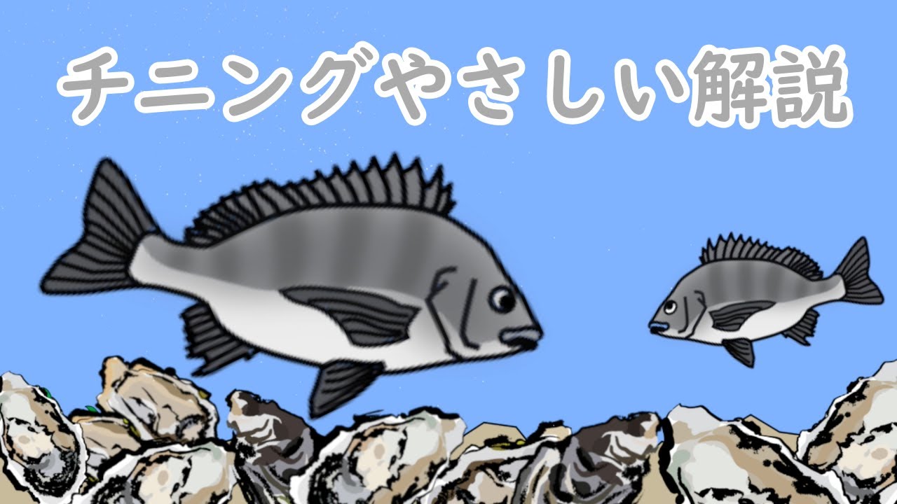 わかりやすいチニング解説　クロダイ/キビレ